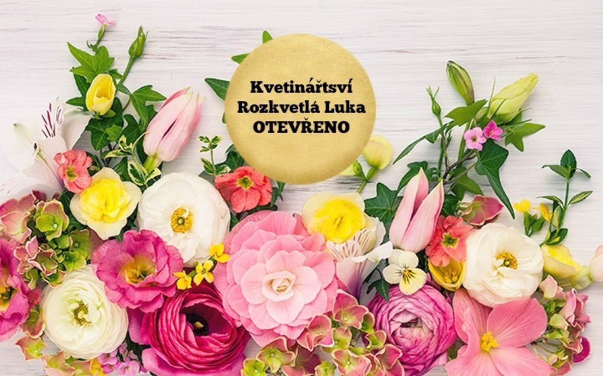 цветочный фон. фон для поздравительной открытки. цветочный фон. фотофон с цветами. розы и ранункулюсы пионы.